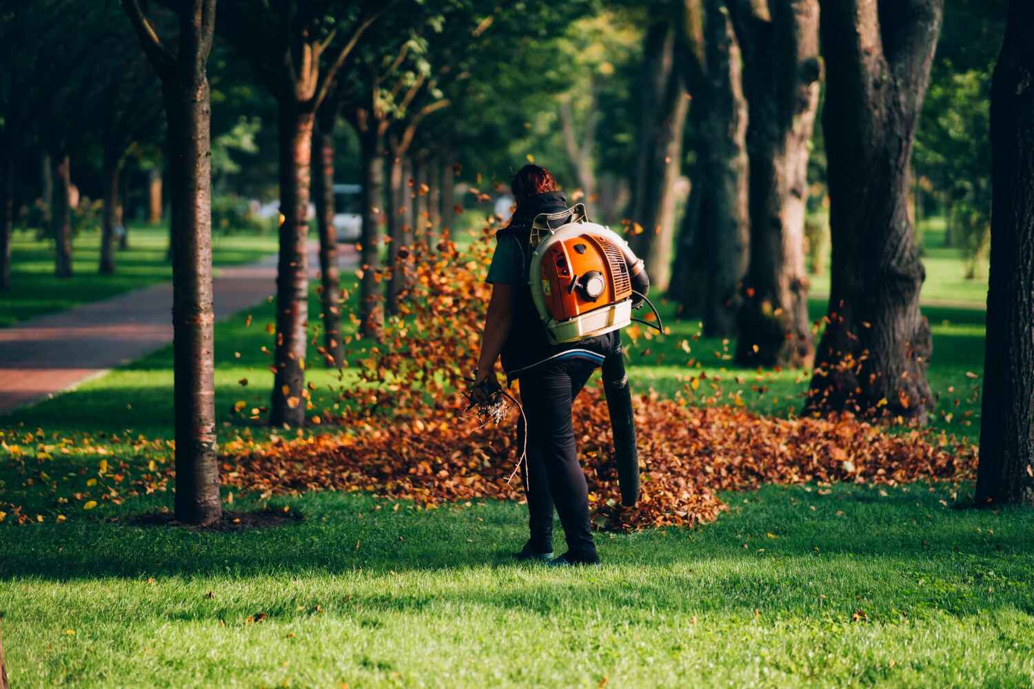 Professional Tree Service in Fullerton, PA